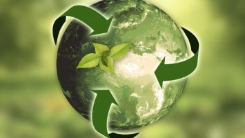 Warum ist Nachhaltigkeit im Unternehmen wichtig?
